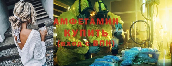 индика Армянск