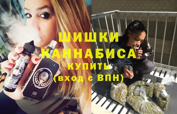 ГАЛЛЮЦИНОГЕННЫЕ ГРИБЫ Арсеньев