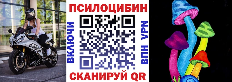 Псилоцибиновые грибы мицелий кракен зеркало Лаишево
