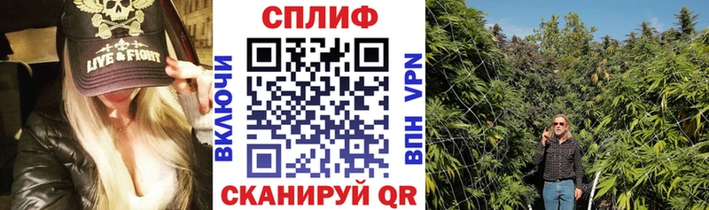 Каннабис ГИДРОПОН  купить наркоту  Лаишево 